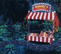 DKC Candys Save Point art.png