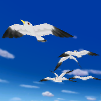 MKDD Seagulls.png