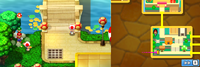 MLBIS+BJJ Mushroom Ball 16.png
