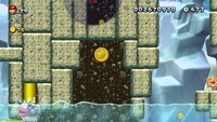 NSMBU 6-2 Coin 1.jpg