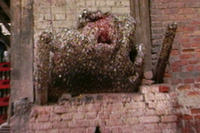 Toothache Tree MIMCD.png