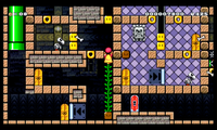 W19-10 SMM3DS.png