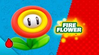 SM3DWBF Powerup image 3.jpg