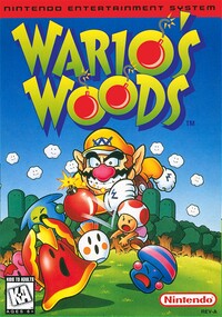 WWoods NESCover.jpg