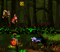 Barrel Bayou DKC2 shot.png