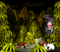 DKC-BossDumbDrum.png