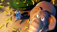 DKCRHD Zebra and Elephant.jpg