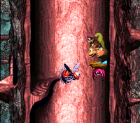 Springin Spiders DKC3 shot 3.png