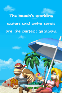 DKJC Funky.png