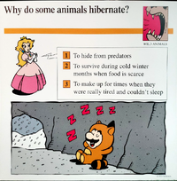 Hibernate quiz card.png