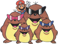 Mega Mole Family.png
