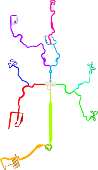 Peach Stadium Routes.png