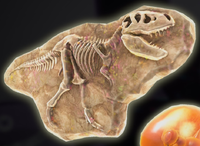 DKB Fossil T Rex.png