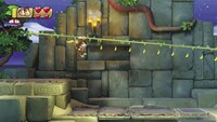 DKCTF Zip-Line Vine Prima.jpg