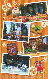 DKCTF Switch Canadian reversible back.jpg