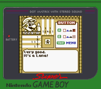 Picross 229-A Name.png