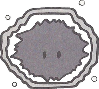 Spark Perfect.png