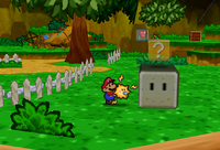 PMHiddenBlock1.png
