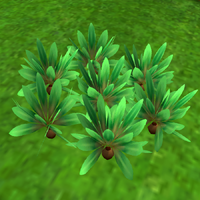 SMG Screenshot Grass.png