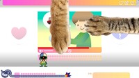 WWGIT LIOLI Cat Hands.jpg