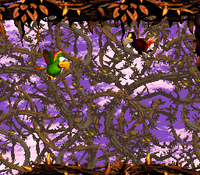 Screech's Sprint DKC2 bug.png