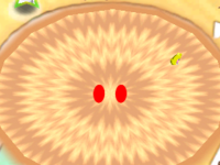SpinyDesertSandPit1.png