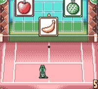 Fruit Fantasy.jpg
