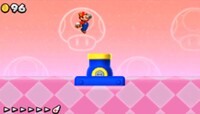 NSMB2 WM WC.jpg
