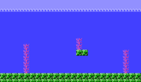 SMB Coral.png