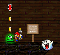 ShineGet203-6.png