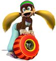 Diddy Kong Racing DS - Super Mario Wiki, the Mario encyclopedia