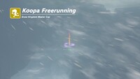 KoopaFreerun-Snow.jpg