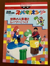 SMW Seesaw Flyer.jpg
