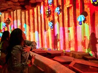 SNW Bowser Jr Shadow Showdown.jpg