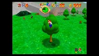 222SW4Steps-4.jpg