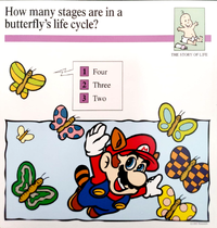 Butterfly quiz card.png