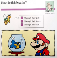 Fish breathe quiz card.png