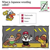 Japanese wrestling quiz card.jpg