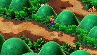 Mushroom Way 2.jpg