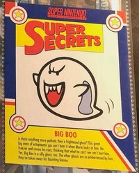 Pepsi NSS cards Big Boo.jpg