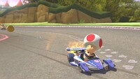 Toadroyalraceway.jpg