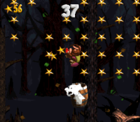 Gusty Glade Bonus Area 2.png