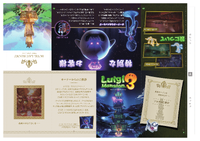 LM3 Pamphlet Printable 2.png