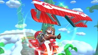 MKT Mario Aviator.jpg
