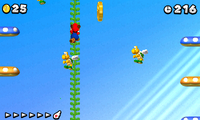 NSMB2 WM-B 3rd Star Coin.png