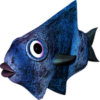 Pucka.png