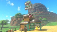 Yoshi's route donuts 1.jpg