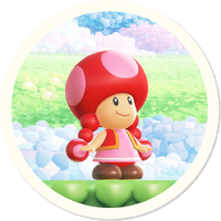 Fire toadette.png