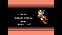 Shroom219 Rush Jet.png