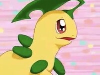 Shroom229 Bayleef.jpg